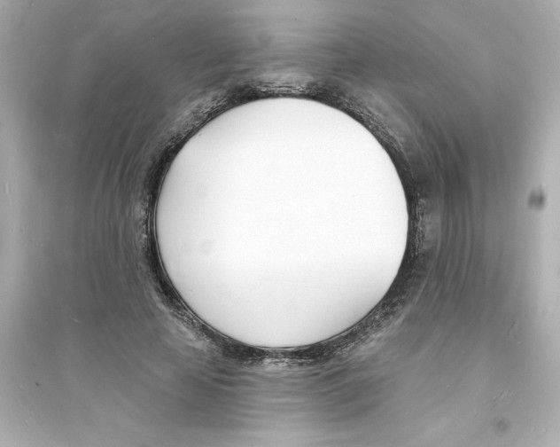 X0000093600641200711121149