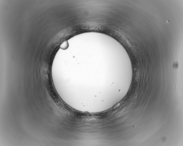 X0000093600643200711121149