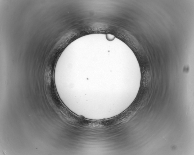 X0000093600644200711121149