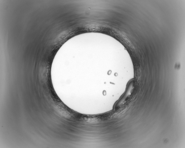 X0000093600645200711121149