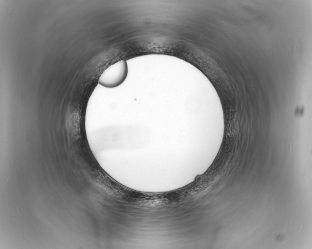 X0000093600646200711121149