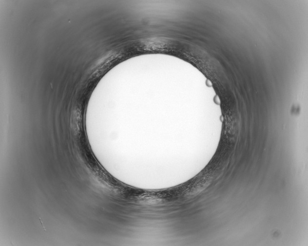 X0000093600648200711121149