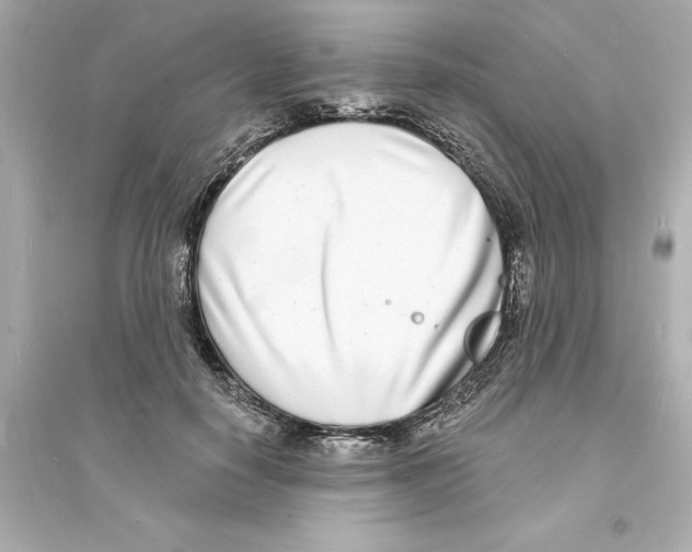 X0000093600650200711121149