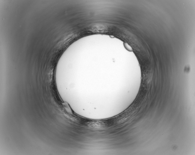 X0000093600652200711121149