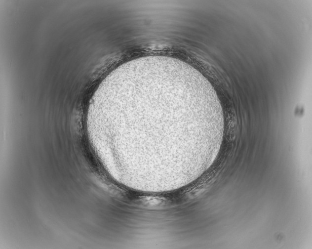 X0000093600654200711121149