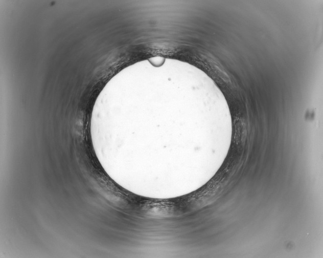 X0000093600655200711121149