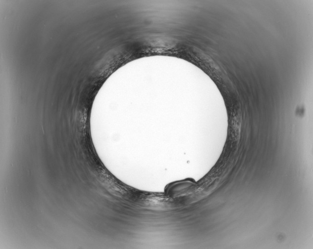 X0000093600657200711121149