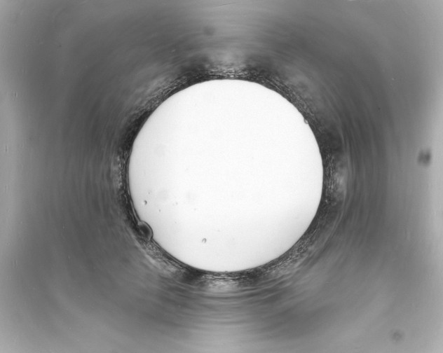 X0000093600658200711121149