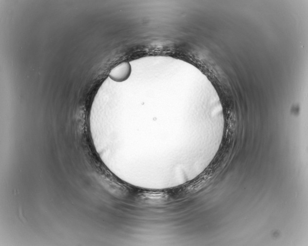 X0000093600659200711121149