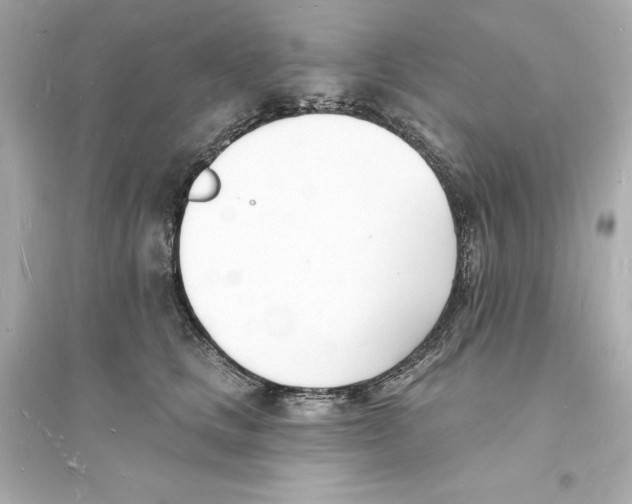 X0000093600661200711121150