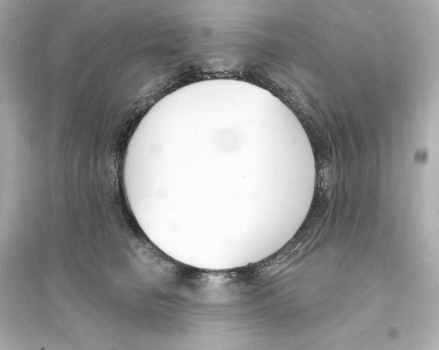 X0000093600662200711121150