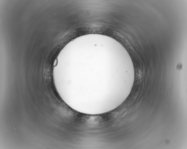 X0000093600663200711121150