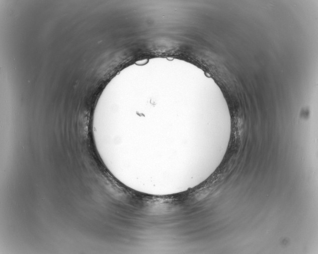 X0000093600664200711121150