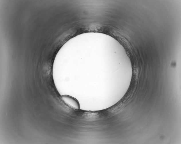 X0000093600665200711121150