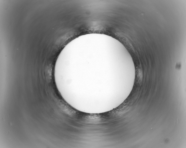 X0000093600668200711121150