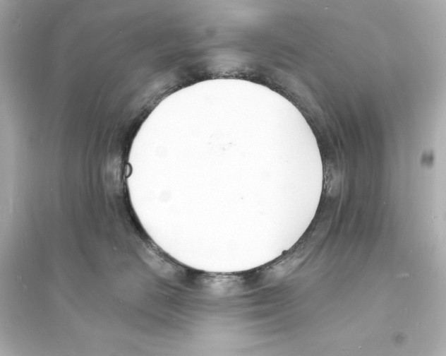 X0000093600670200711121150