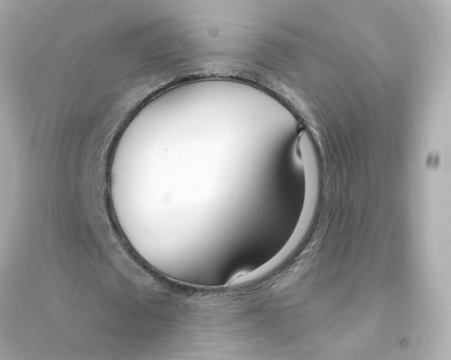 X0000093600673200711121149