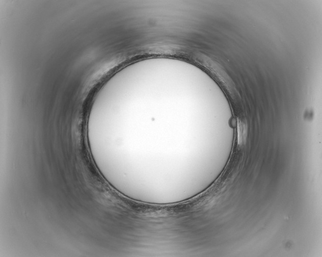 X0000093600675200711121149