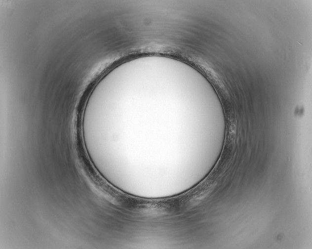 X0000093600678200711121149