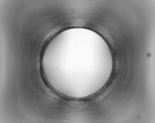 X0000093600681200711121149