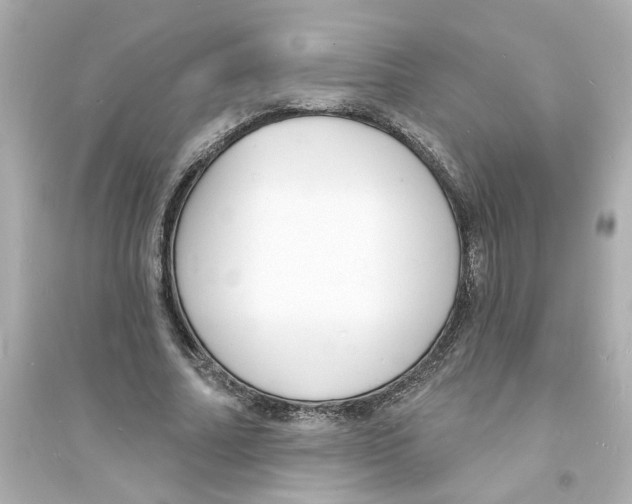 X0000093600682200711121149