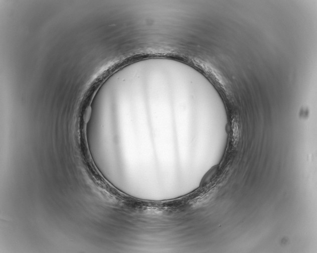 X0000093600684200711121149