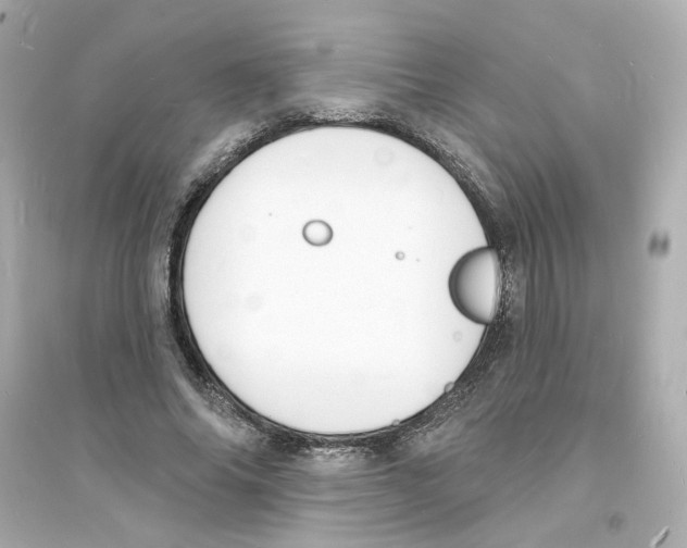 X0000093600686200711121149