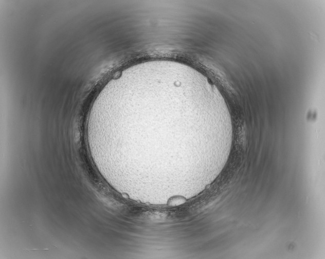 X0000093600687200711121149