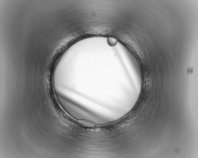 X0000093600688200711121149