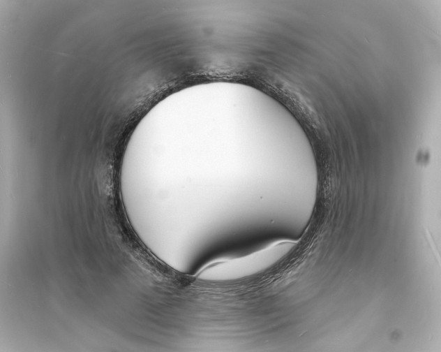 X0000093600689200711121149