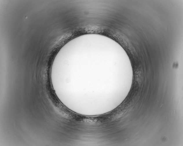 X0000093600690200711121149