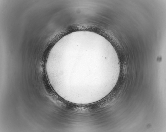 X0000093600691200711121149