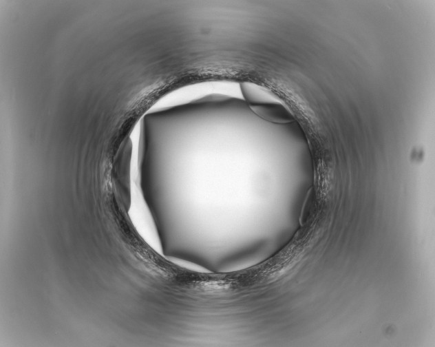 X0000093600692200711121149