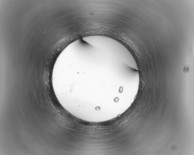 X0000093600693200711121149