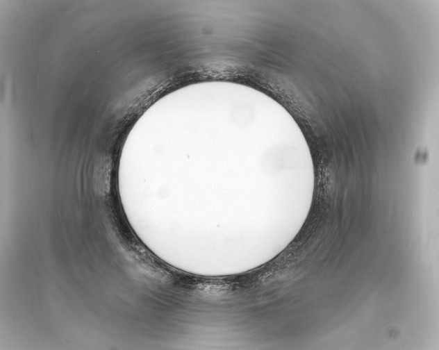 X0000093600694200711121149