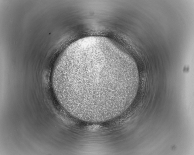 X0000093600695200711121149