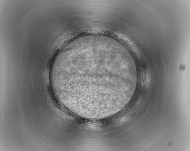 X0000093600696200711121149