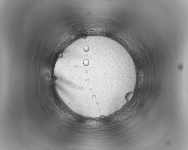 X0000093600699200711121149