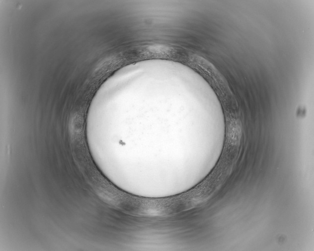 X0000093600701200711121149