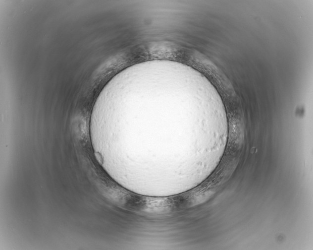 X0000093600705200711121149