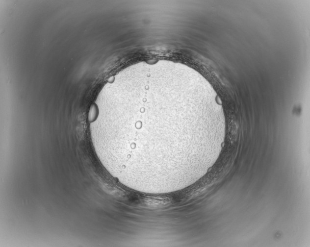 X0000093600707200711121149