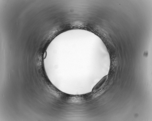 X0000093600708200711121149