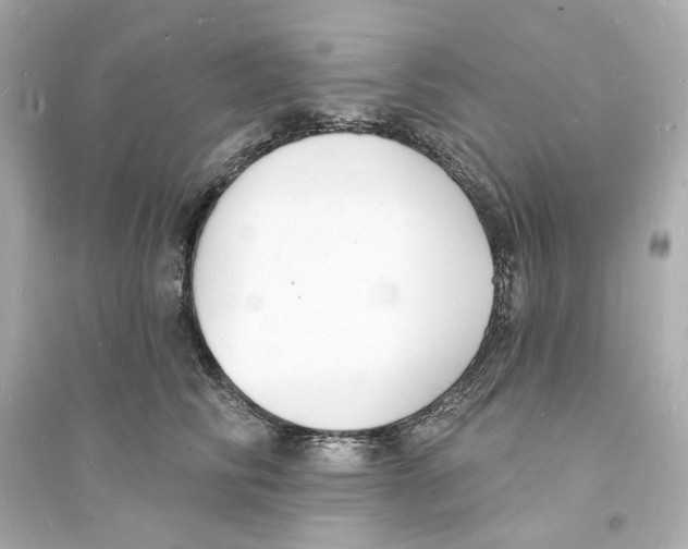 X0000093600710200711121148