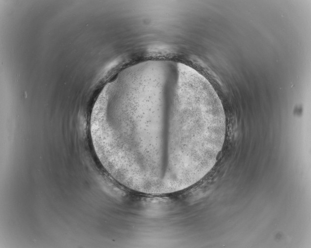 X0000093600716200711121148