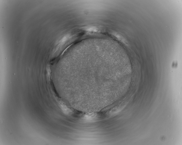 X0000093600720200711121148