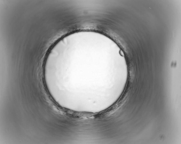 X0000093600721200711121148