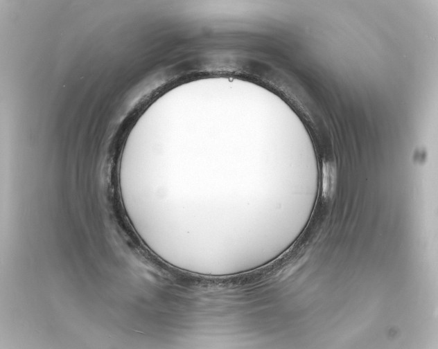 X0000093600723200711121148