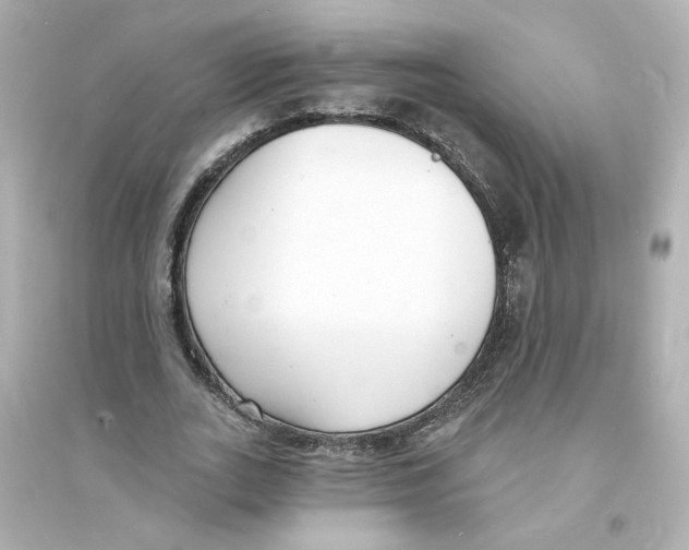 X0000093600727200711121148