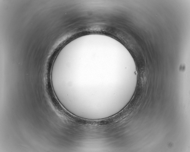 X0000093600728200711121148