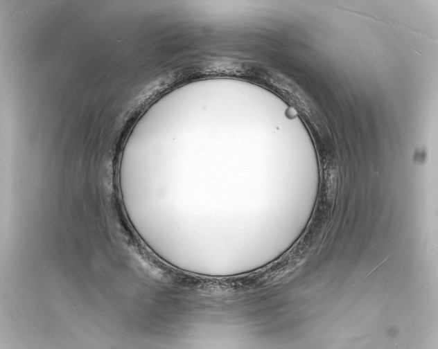 X0000093600729200711121148